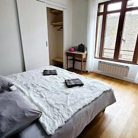 Lilas Rose Apartment Thonon-les-Bains